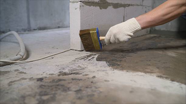 SJ Waterproofing Pros Waterproofing coverage map for Northville, MI and surrounding area